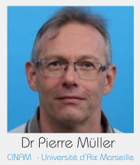P. muller